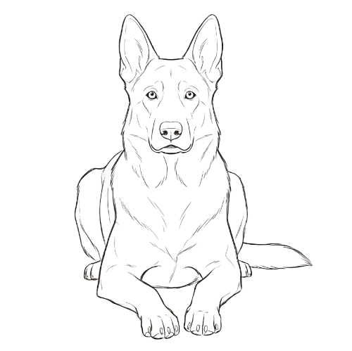 Line drawing of Pawmodoro's dog companion, resting attentively mid-session